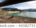 Pinecone and Okutama Lake 44382733