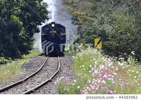 摩卡鐵路SL和Akisakura 44383062