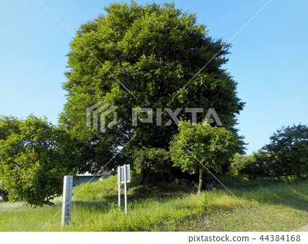 Isezuka Kofun Isezuka Kofun 44384168