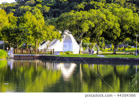 台灣,大湖公園,藍天,白雲,天空,風景 44384366