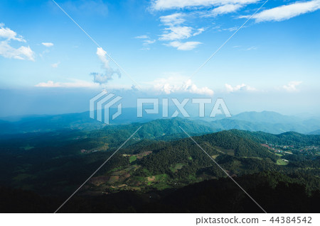 in the forest travel Trees and mountain views in the forest travel Trees and mountain views 44384542
