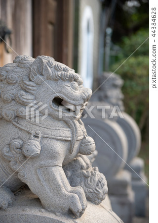 中國傳統石獅子 国立故宮博物院至善園石獅子 Chinese Guardian Stone Lion 44384628
