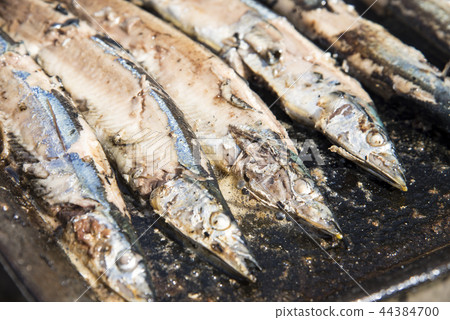 [Grilled pacific saury] 44384700