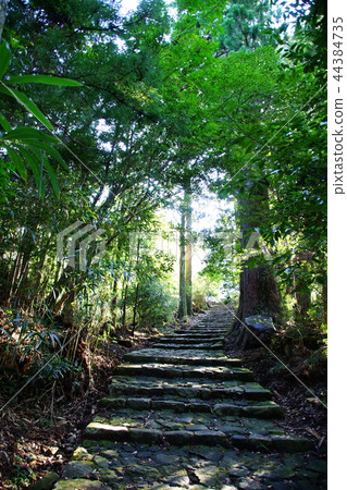 Kumano Kodo Daimonzaka Nachiyama石階/ Dotoishi附近(和歌山縣東武郡Nachi Katsuura-cho) Kumano Kodo Daimonzaka Nachiyama石階/ Dotoishi附近(和歌山縣東武郡Nachi Katsuura-cho) 44384735