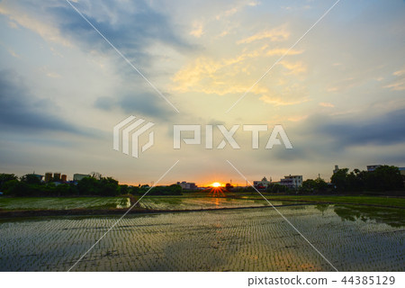 西邊的日落，受到鄉村的風景。 44385129