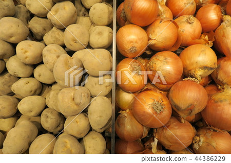 土豆和洋蔥 土豆和洋蔥 44386229