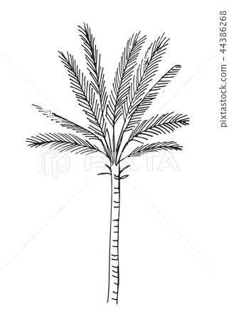 Illustration with a cartoon animal dinosaur Illustration with a cartoon animal dinosaur 44386268