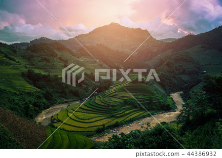 Rice fields on terraced with wooden pavilion 44386932