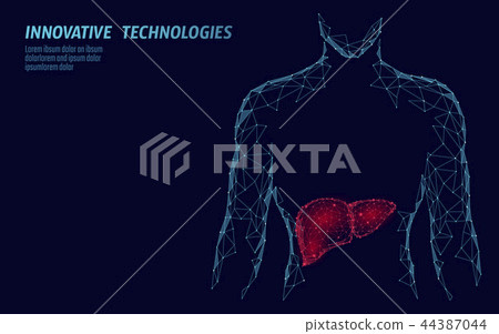 Human Liver hepatitis treatment medicine business concept. Disease prevention health care medical 44387044