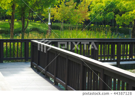 秋天蓮花,秋天風景,秋天蓮花風景,秋天蓮花在池塘 秋天蓮花,秋天風景,秋天蓮花風景,秋天蓮花在池塘 44387128