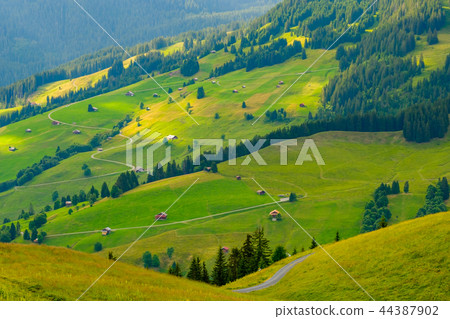 Summer landscape of Switzerland rural country side 44387902