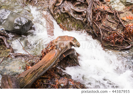 Autumn waterfall with rocks and leaves in Troodos mountains in Cyprus Autumn waterfall with rocks and leaves in Troodos mountains in Cyprus 44387955