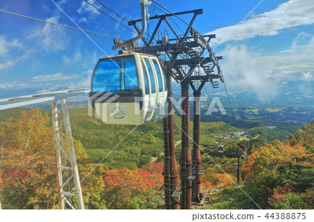 Mt. Akada秋天山索道 44388875