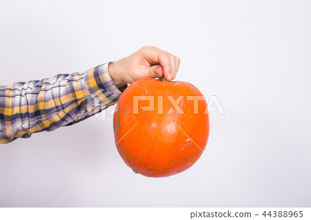 Autumn, harvest and holidays concept - Pumpkin in male hand on white background. Autumn, harvest and holidays concept - Pumpkin in male hand on white background. 44388965