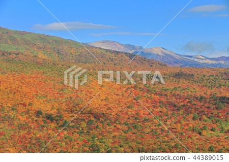 Adachi Tara Yamakasa and Agatsuma Kofuji in the fall season 44389015