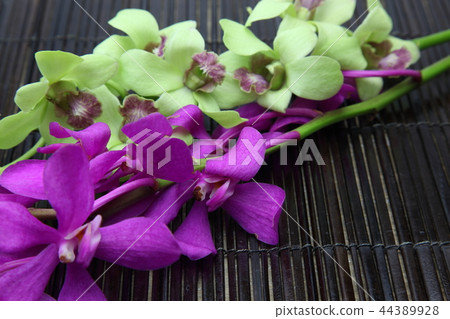 Western run Western run 44389928