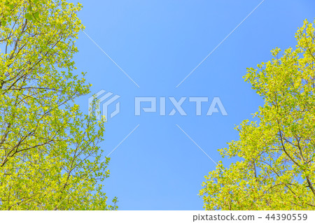 Fresh green turquoise frame Fresh green turquoise frame 44390559