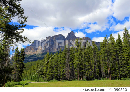 加拿大落基山脈 - 城堡山 44390820