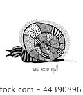 Vector Illustration of snail in doodling style 44390896