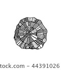 Small sea shell isolated in zentangle style 44391026