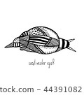snail vector illustration 44391082