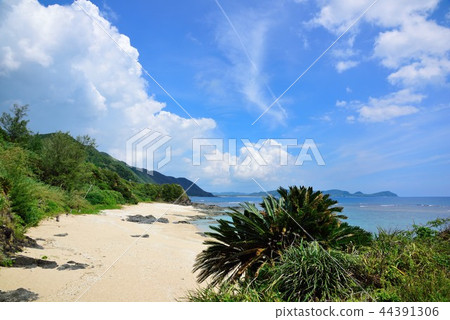 <Amami Oshima> The beautiful sea 4 of the Long Town town entrance 44391306