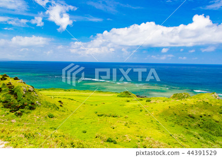 沖繩Ishigakijima Hirakubozaki 沖繩Ishigakijima Hirakubozaki 44391529