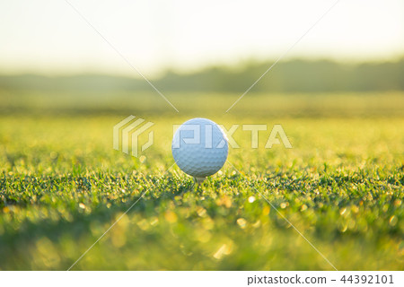 Close up of golf ball on tee Close up of golf ball on tee 44392101