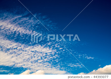 Autumn's blue sky Autumn's blue sky 44393077