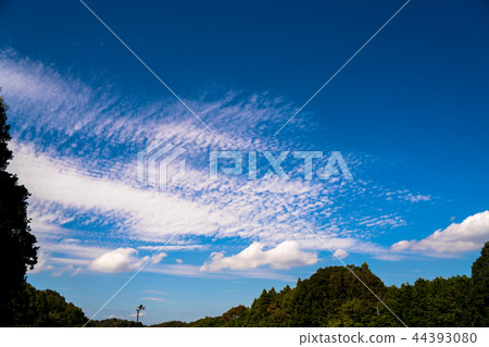 Autumn's blue sky Autumn's blue sky 44393080