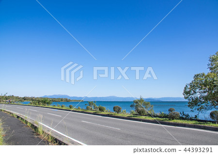 清湖琵琶湖路 44393291