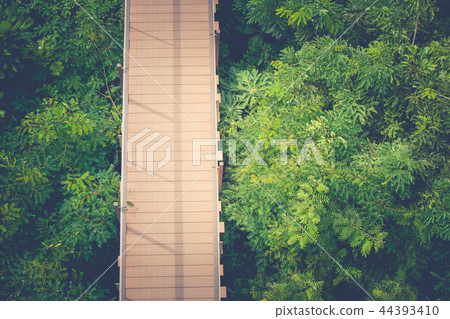 Wooden sky walk or walkway cross over treetop. 44393410