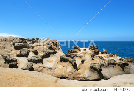 Ginger Rock on Yehliu Geopark, New Taipei, Taiwan. Ginger Rock on Yehliu Geopark, New Taipei, Taiwan. 44393722