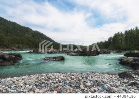 Katun river, in the Altai mountains Katun river, in the Altai mountains 44394186