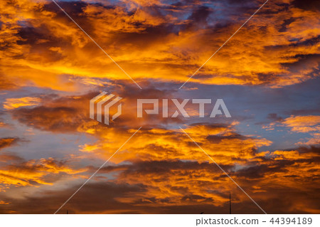 黃金浸泡的早晨 黃金浸泡的早晨 44394189