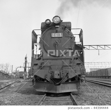 D61在深圳 D61在深圳 44394444
