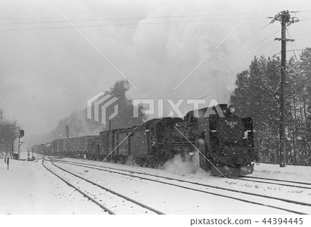 D51 to go to the salt hunt in the snow 44394445