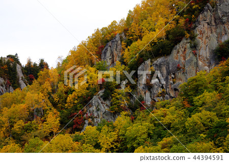 Autumn leaves of Sounkyo 2 Autumn leaves of Sounkyo 2 44394591