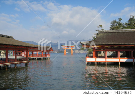 Miyajima Itsukushima shr Miyajima Itsukushima shr 44394685