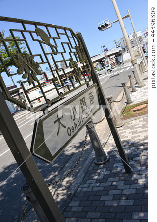 指南顯示 指南顯示 44396309