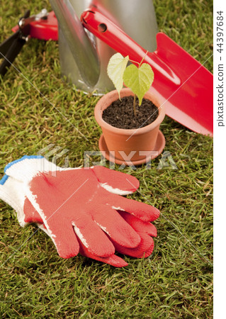 Gardening concept Gardening concept 44397684