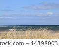 Beach at baltic sea 44398003