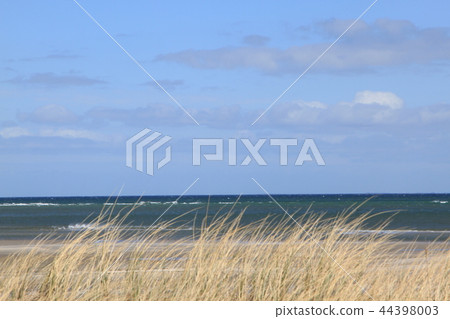 Beach at baltic sea 44398003