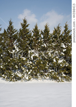 Semiwon, Yangsuri, Gyeonggi-do 44398413