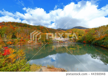 [青森縣八甲田山中]地獄沼，距離須賀湯溫泉有5分鐘的步行路程，是一座位於火山口的溫泉水，荒涼的沼澤。 44398948