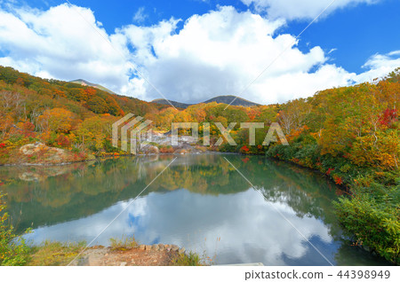 [青森縣八甲田山中]地獄沼，距離須賀湯溫泉有5分鐘的步行路程，是一座位於火山口的溫泉水，荒涼的沼澤。 44398949