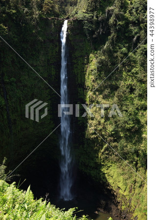 From Hawaii Island 44398977