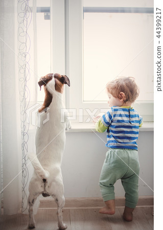 little baby boy with dog little baby boy with dog 44399217