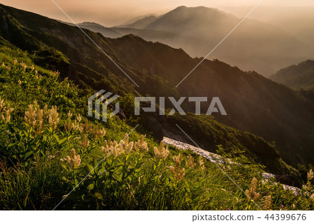 白山的夏天 白山的夏天 44399676