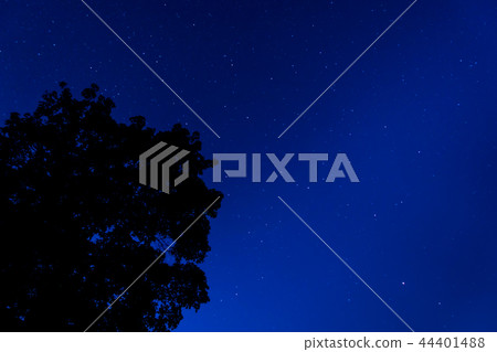Blue Night sky with Stars and constellation  44401488